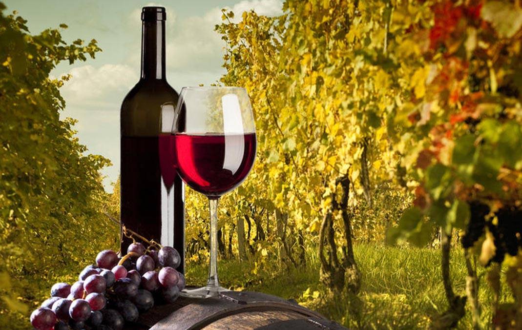 Arm-wine Arm-wine