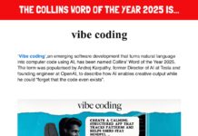 Հայտնի է տարվա բառը․ Vibe coding