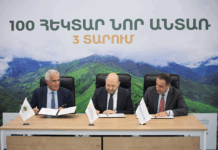 Լոռու մարզում կհիմնվի 100 հեկտար նոր անտառ՝ 300 հազար ծառատեսակով