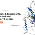 Computations and Experiments. How AI is introduced in Laboratory Sciences