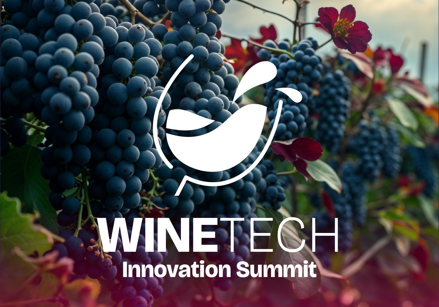WineTech Innovation Summit 2025 7 WineTech Innovation Summit 2025